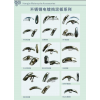 航捷摩配，主要經(jīng)營加工、產(chǎn)銷：摩托車配件、金屬制品、金屬零件