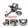 TM加強(qiáng)型摩托車曲軸軸承、發(fā)動(dòng)機(jī)軸承 電動(dòng)車軸承、電機(jī)軸承。