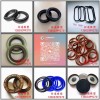 摩汽油封、農(nóng)機(jī)油封、工業(yè)骨架油封、EC端蓋、O型圈