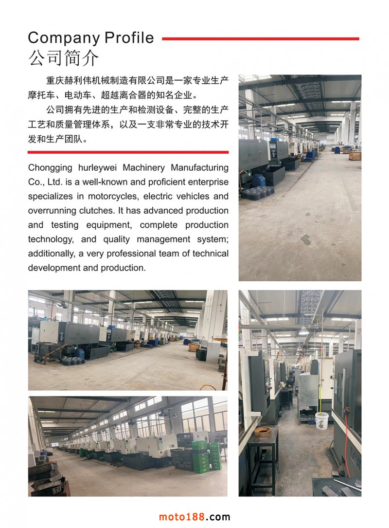 2024 N畫冊(cè) 英文版_01